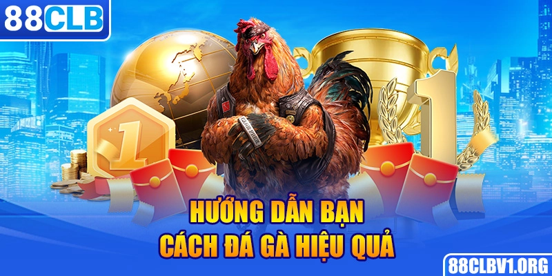 Hướng Dẫn Bạn Cách Đá Gà Hiệu Quả