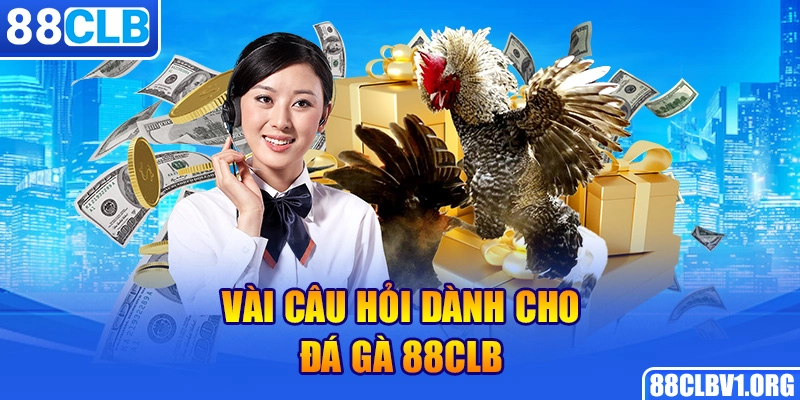 Vài Câu Hỏi Dành Cho Đá Gà 88CLB